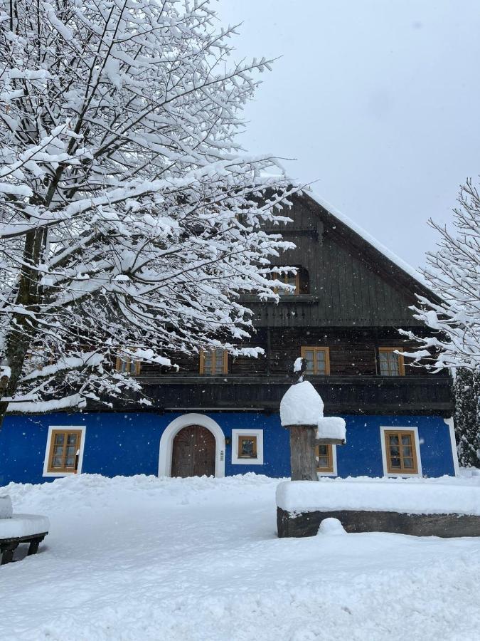 Blue House Leilighet Ramingstein Eksteriør bilde